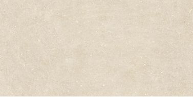 Vincen Bone 60x120