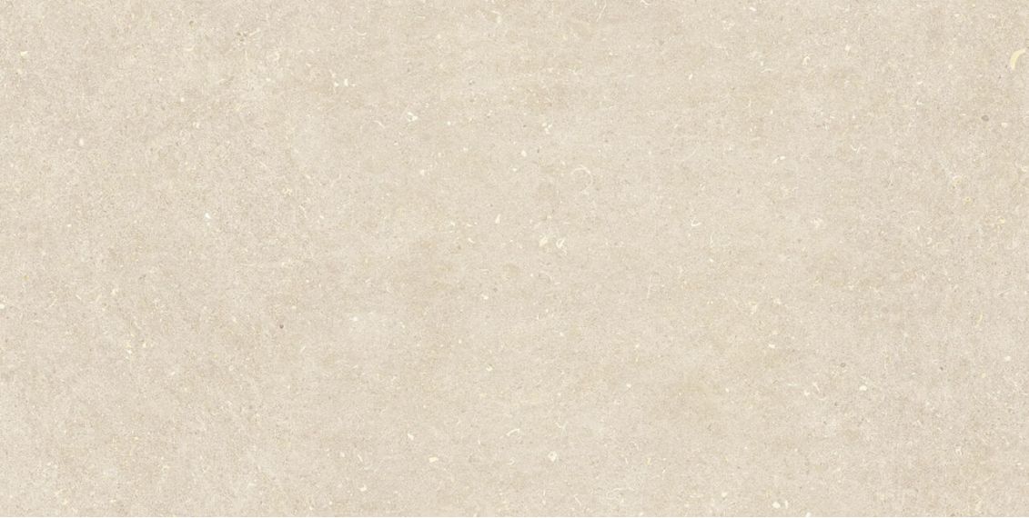 Vincen Bone 60x120