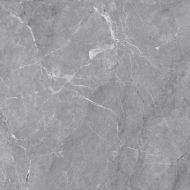 Vitalia Grey Matt 60х60