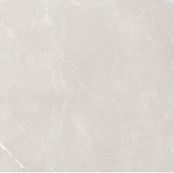Vitrum Grey полированный 60x60