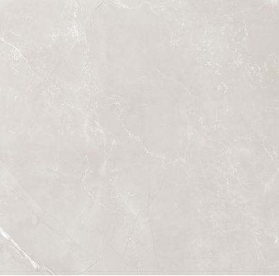 Vitrum Grey полированный 60x60
