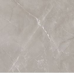 Vitrum Grigio матовый 60x60