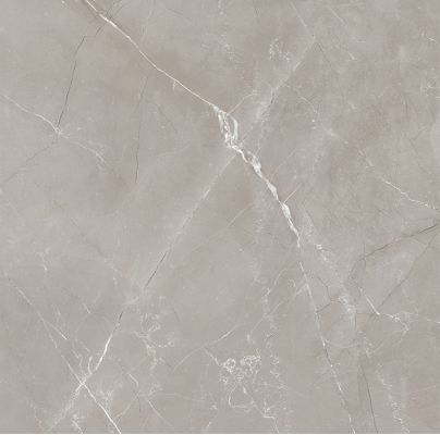Vitrum Grigio матовый 60x60