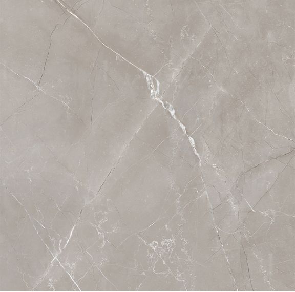Vitrum Grigio матовый 60x60