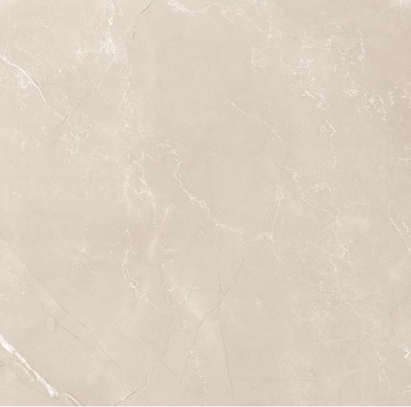 Vitrum Taupe матовый 60x60