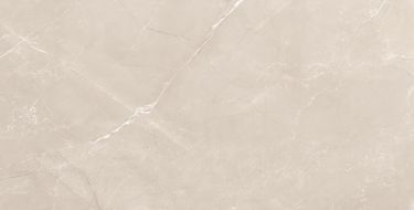 Vitrum Taupe полированный 60x120