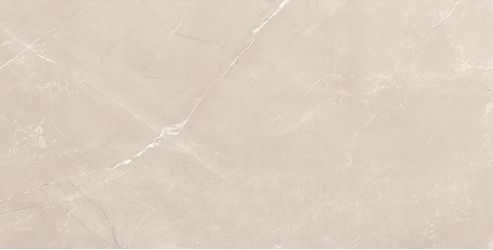 Vitrum Taupe полированный 60x120