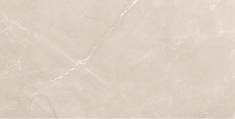 Vitrum Taupe полированный 60x120