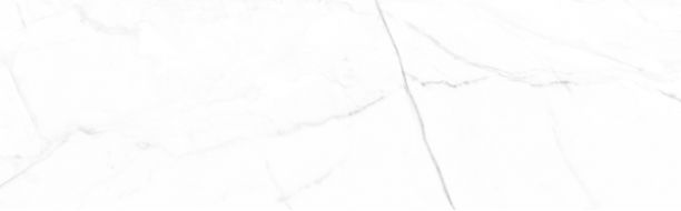 Vivid White Calacatta 29.75x99.55