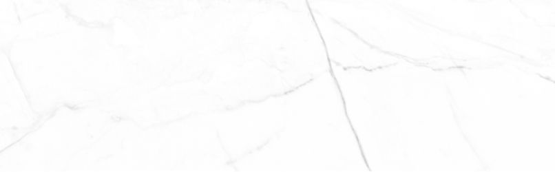 Vivid White Calacatta 29.75x99.55
