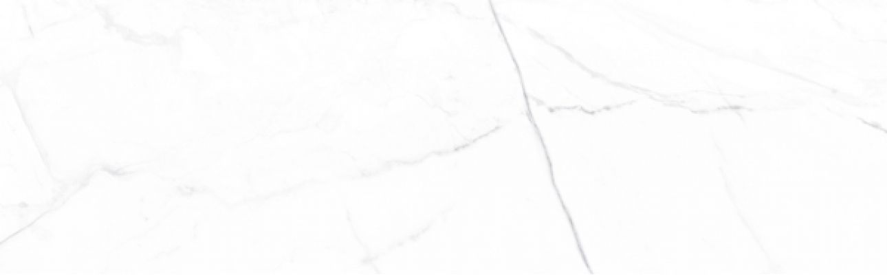 Vivid White Calacatta 29.75x99.55