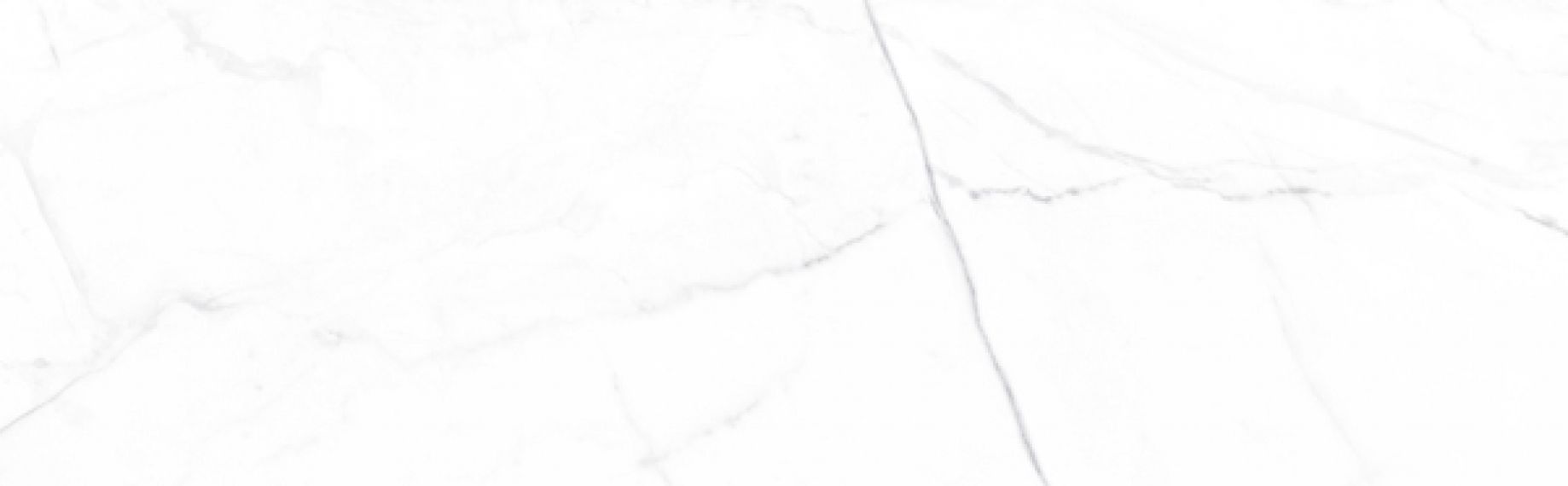 Vivid White Calacatta 29.75x99.55