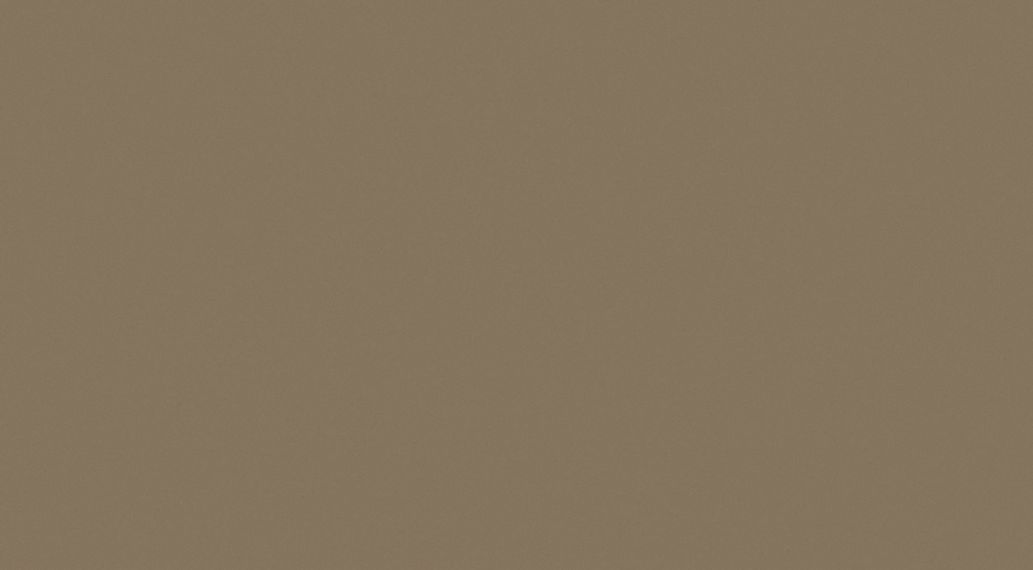 W- Mocca 1 32,7X59,3
