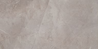 W- Muse Silver 29.8x59.8
