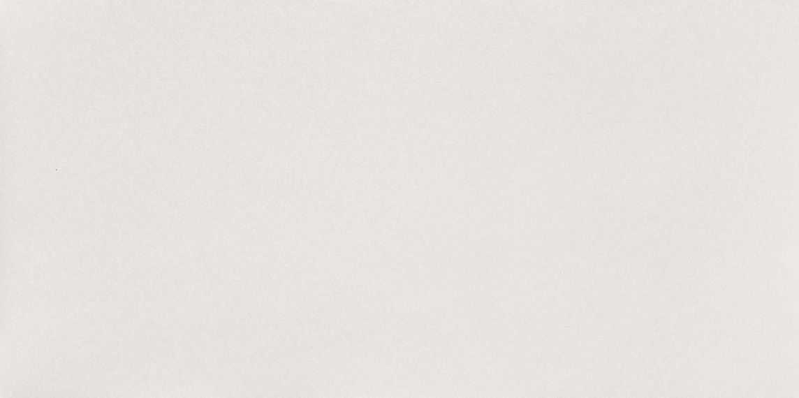 W- Reflection White 29.8x59.8
