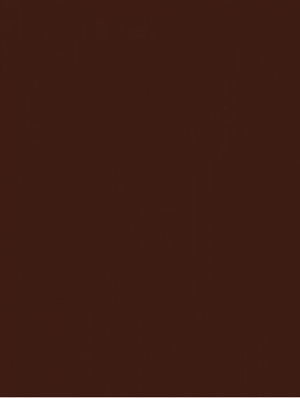 WAAKB109 CONCEPT Brown 25x33