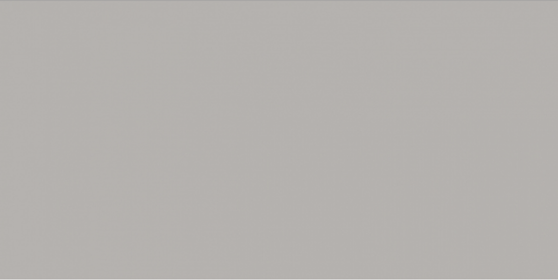 WAAMB110 CONCEPT Grey 20x40
