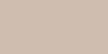 WAAV4008 CONCEPT PLUS Beige 30x60
