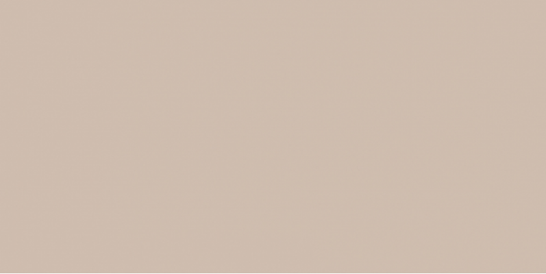 WAAV4008 CONCEPT PLUS Beige 30x60