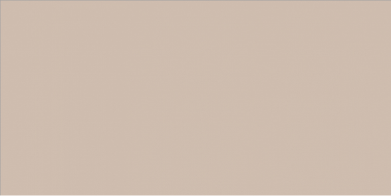 WAAV4108 CONCEPT Beige 30x60