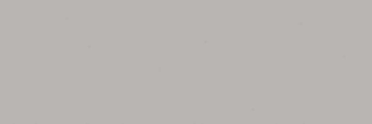 WAAVE110 CONCEPT PLUS grey 20x60
