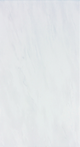 WADV4051grey 30x60