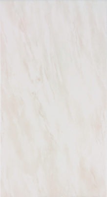 WADV4150 beige 30x60