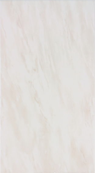 WADV4150 beige 30x60