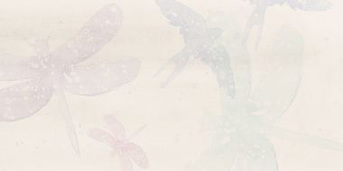 WADV4578 Poem light grey 30x60