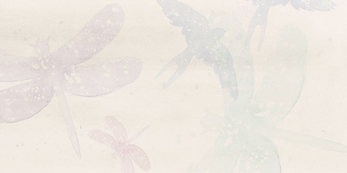 WADV4578 Poem light grey 30x60