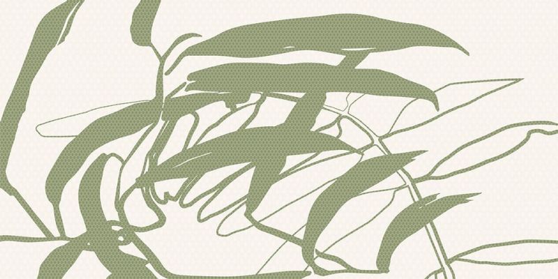 WADV4678 LINT green 30x60