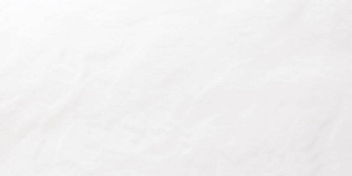 WAGV4104 Light white relief 30x60