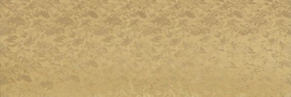 WALLPAPERS DC.WW.PGL.ST 300x100