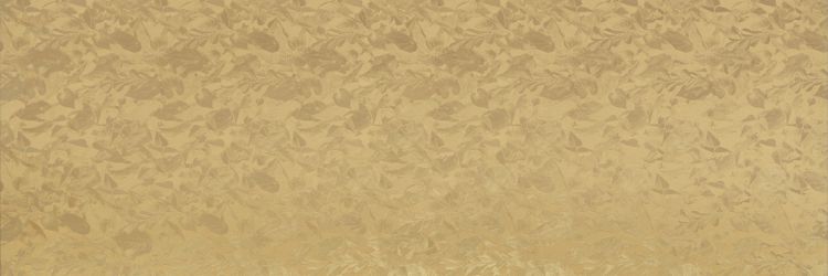 WALLPAPERS DC.WW.PGL.ST 300x100