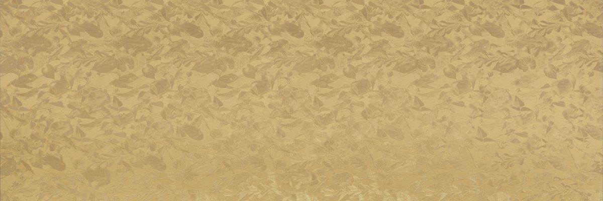 WALLPAPERS DC.WW.PGL.ST 300x100