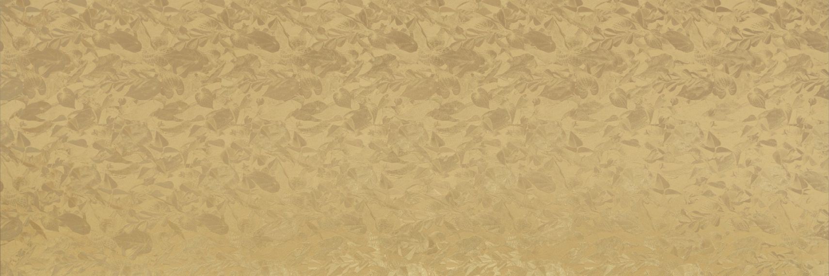 WALLPAPERS DC.WW.PGL.ST 300x100