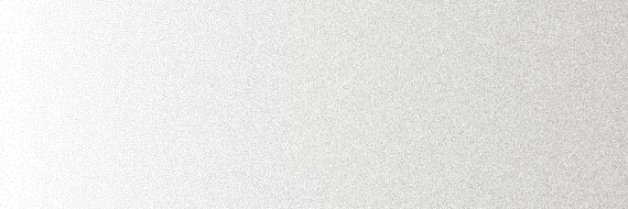 WALLPAPERS DL.DT.V25.NT RU 300x100