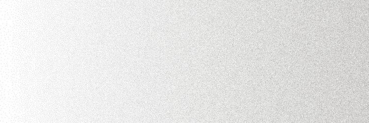 WALLPAPERS DL.DT.V25.NT RU 300x100