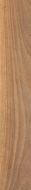 WALNUT TOBACCO RTT 20X120