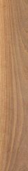 WALNUT TOBACCO RTT 20X120
