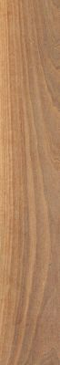 WALNUT TOBACCO RTT 20X120