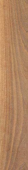 WALNUT TOBACCO RTT 20X120