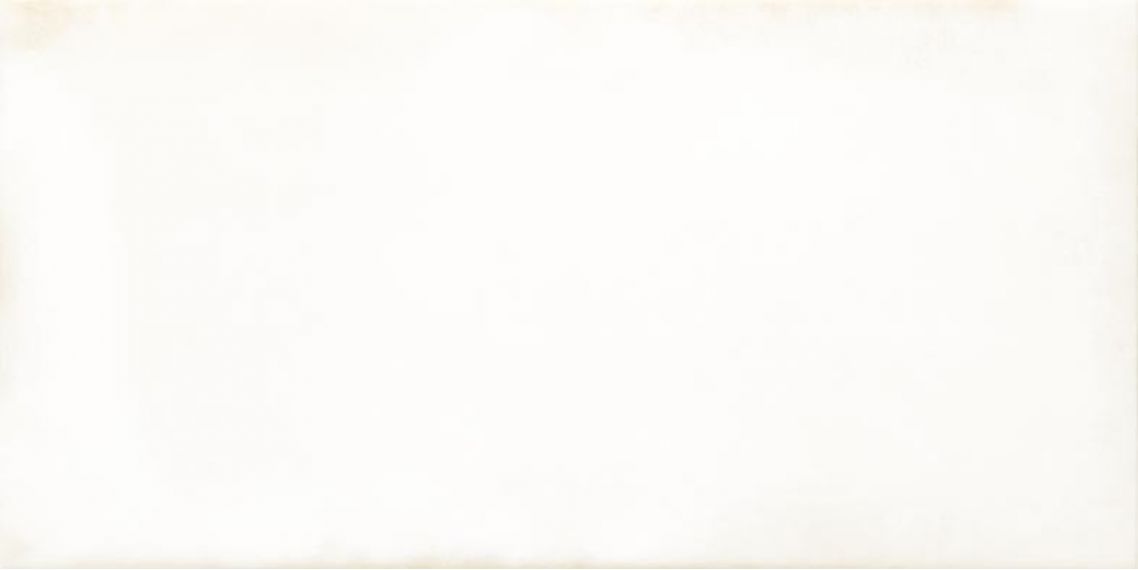 WARMB520 Retro White 20x40