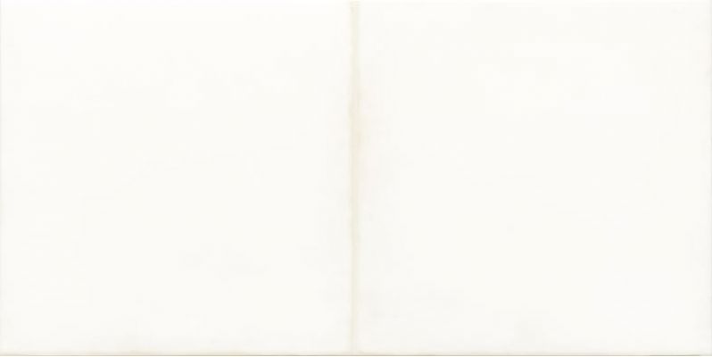 WARMB521 Retro White 20x40
