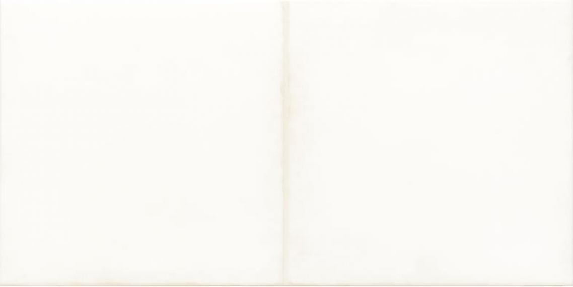 WARMB521 Retro White 20x40