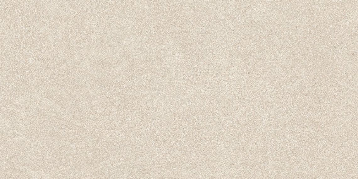 WARV4260 BETONICO 30x60