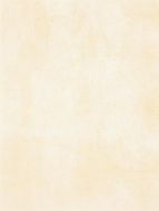 WATKB230 PATINA light beige 25x33