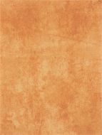 WATKB231 PATINA brick 25x33