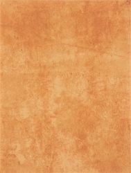 WATKB231 PATINA brick 25x33