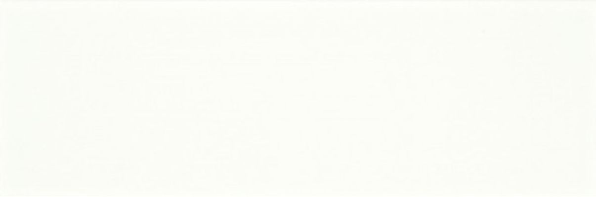 WATVE050 white 20x60